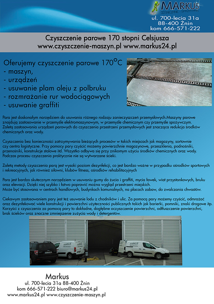 czyszczenie parą oferta